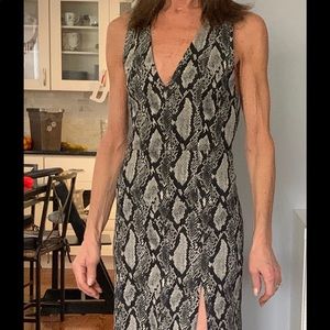 Celeste Snake Gown
